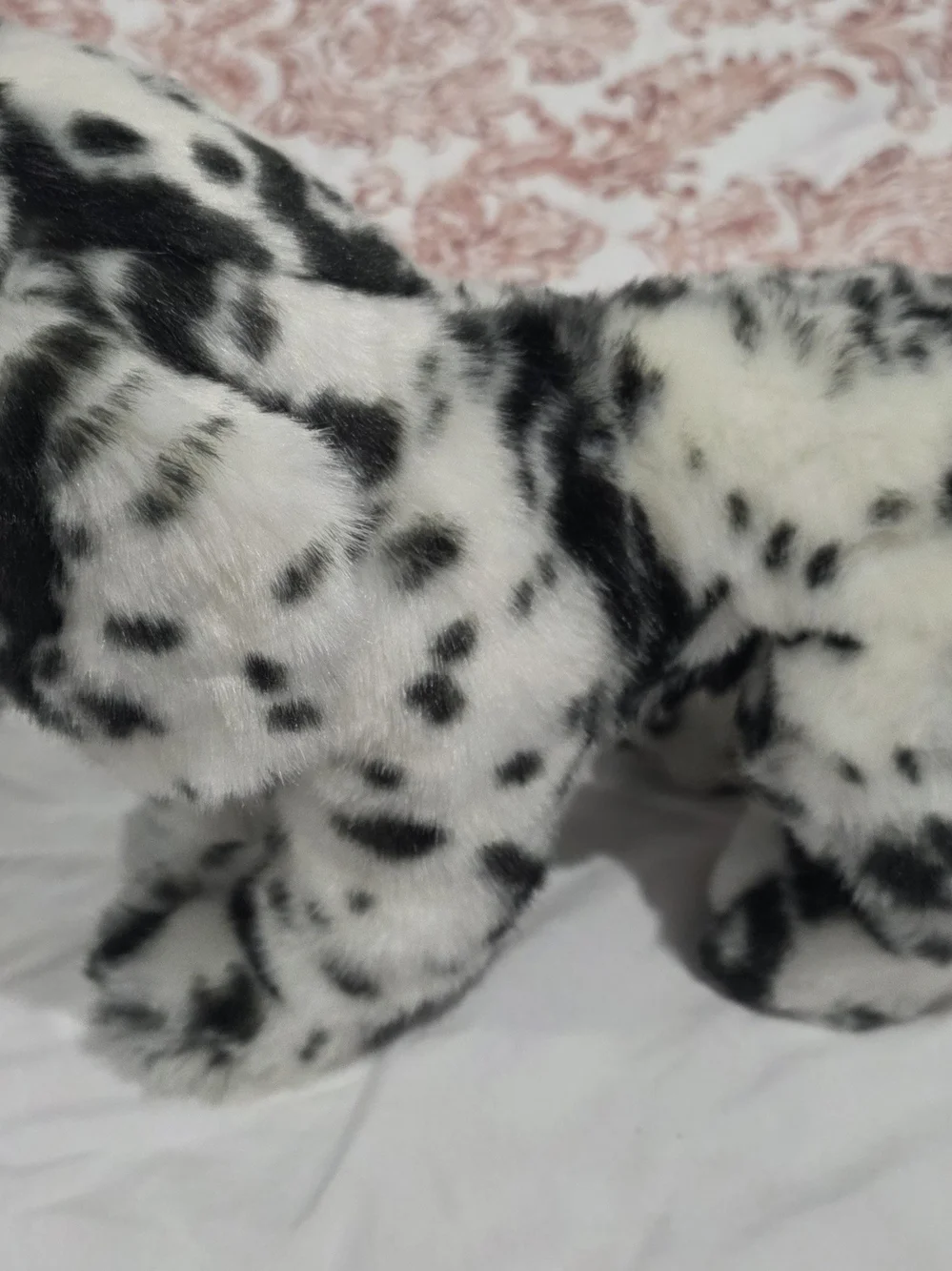 Douglas MACKAY DALMATIAN Dog Puppy Retired